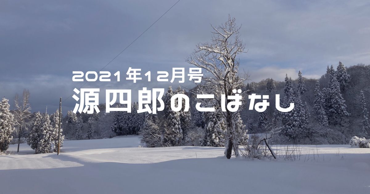 202112福山新田の冬景色